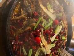 -老板恋上鱼(恒隆广场店)