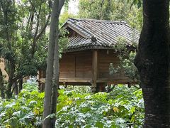 -云南民族村