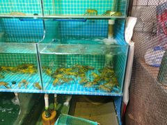 水产区-三妹小龙虾·黄油蟹(华侨城总店)