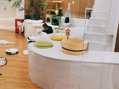 -COLOR PETS 撸猫馆·购猫·猫咖(长风大悦城店)