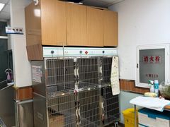 -宠福鑫动物医院(城北分院)