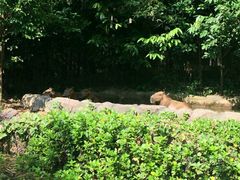 美景-河川生态园