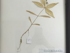 -中医院-的食堂