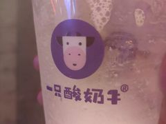 -一只酸奶牛(八一路店)