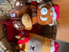 -星巴克臻选(成都宽窄巷子店)