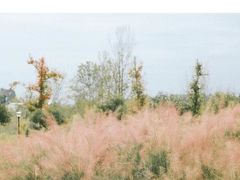 -七曲山风景区