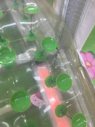 -孩子王童乐园(苏州吴中万达店)