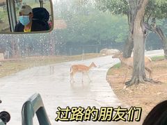 -西安秦岭野生动物园