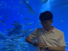 -成都浩海立方海洋公园