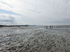 -仙人岛风景区