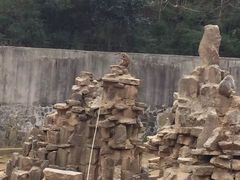 -太子山公园(园东路)