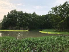 -桤木河湿地公园