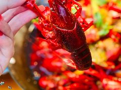 -二钳洞庭虾蟹·江湖菜(成都鹭岛店)