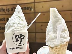 -野人先生现做冰淇淋(北京王府井东方新天地店)