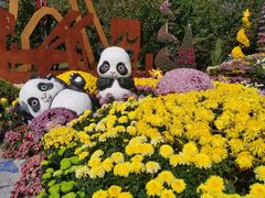 -南山植物园