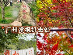 -广州市帽峰山景区