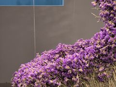 -chi K11艺术空间展览厅