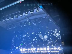 -M-MIX电音烤吧