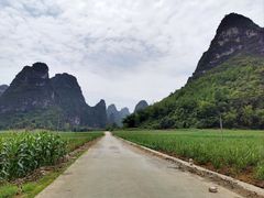 -明仕田园