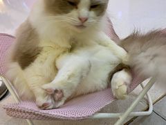 -KOI The(卓悦汇购物中心店)