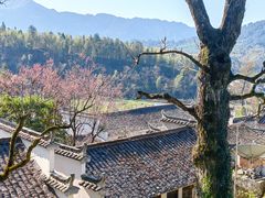 -塔川景区