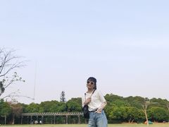 -大屏嶂森林公园