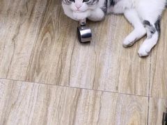 -百金通黄金回收首饰定制维修(珠江路总部)