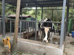 -洪湖家庭农场·团建·露营·会议