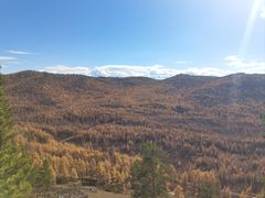 -莫尔道嘎国家森林公园