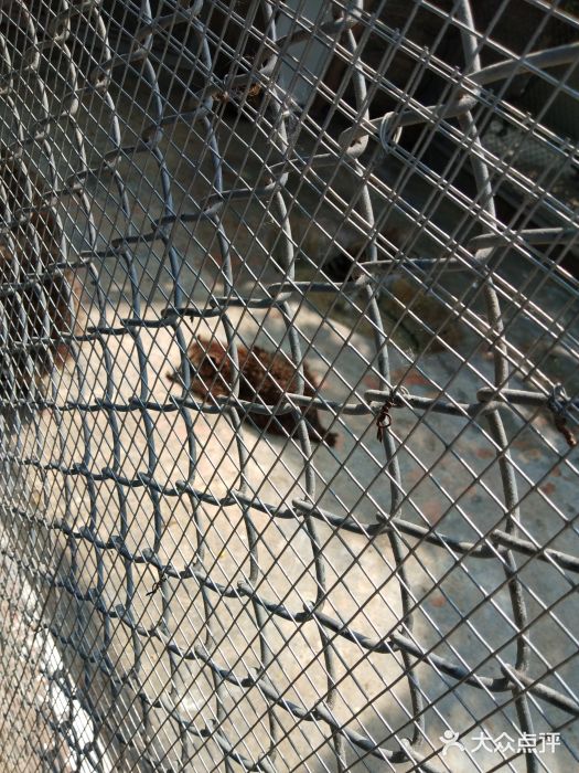 西安秦岭野生动物园图片