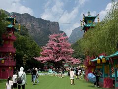 -河南宝泉旅游区