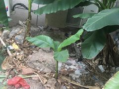 -落端云串串香(南京凤凰西街店)
