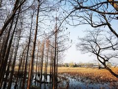 -云龙湖旅游景区