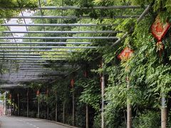 -渭南桃花源民俗文化园