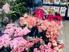 -岁宝Shirble plaza(龙珠店)