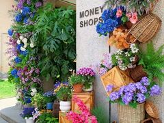 -Money Shops(愚园路店)