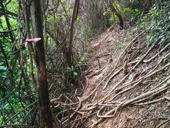 -梧桐山风景名胜区