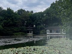 -杭州植物园