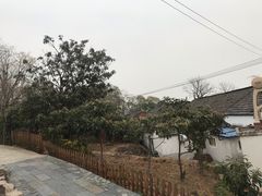 -巢湖姥山岛