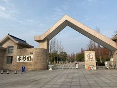 -水杉园
