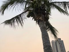 -坪山格兰云天国际酒店-汇厨自助餐厅-亲子-聚餐