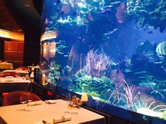 -迪拜帆船酒店海底餐厅