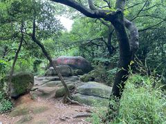 -灵岩山风景区