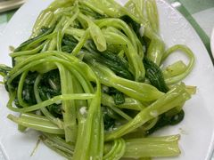 蒜蓉空心菜-毛记饭店
