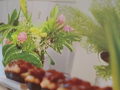 -小菜园新徽菜(江阴万达店)