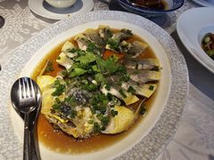 -同乐轩