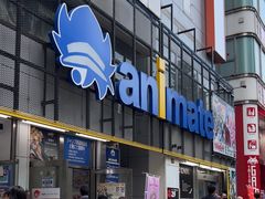 -Animate(秋叶原本馆)