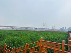 -武汉关码头(轮渡站)