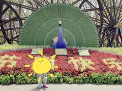 -呀路古热带植物园