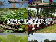 -洪湖生态旅游区